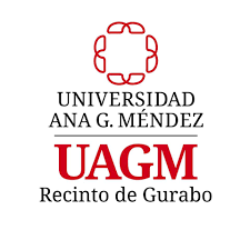 universidad ana g méndez