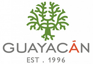grupo guayacan